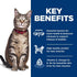 Hill's Science Diet Adult Salmon & Brown Rice Recipe Cat Food 3.5lb - Poudre Pet & Feed Supply 3